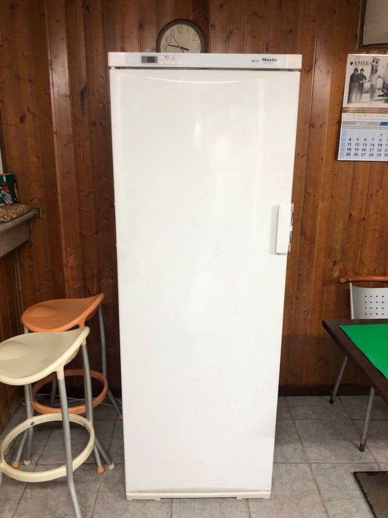 Arca congeladora vertical Miele F7563 SN