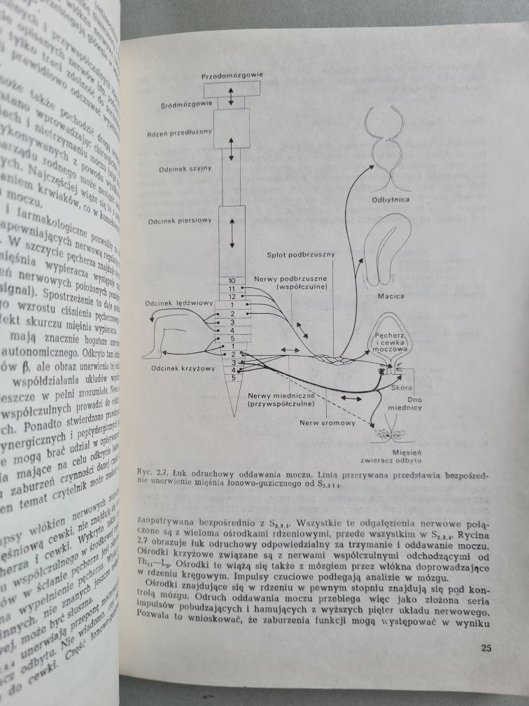 Urologia ginekologiczna - Mogens Asmussen, Ashton Miller