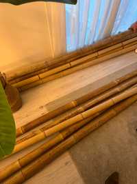 Canas de bambu para decoração