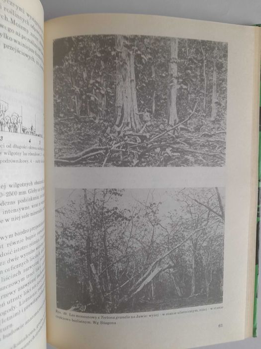 Roślinność kuli ziemskiej - Zbigniew Podbielkowski