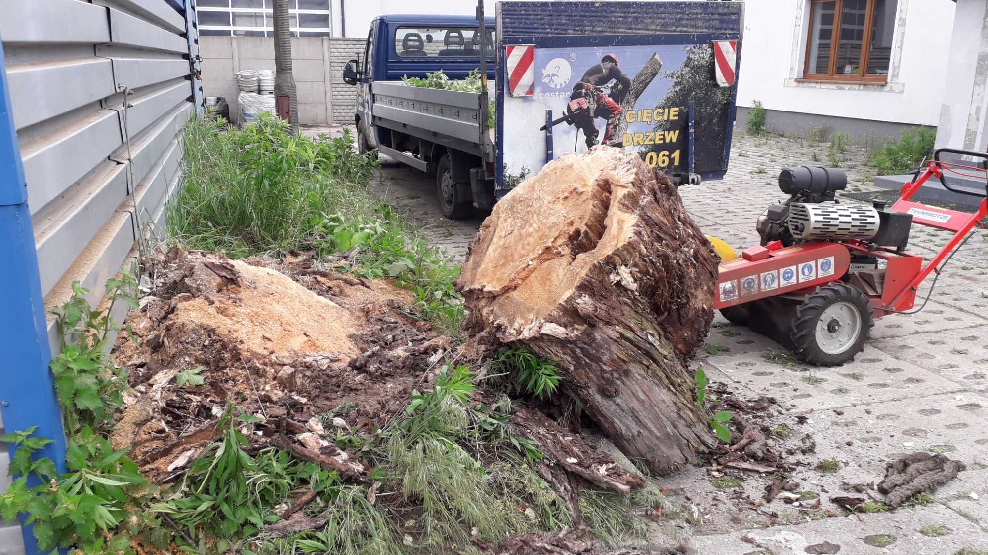 Cięcie przycinanie wycinka drzew Bełchatów Łódź Aleksandrów Pabianice