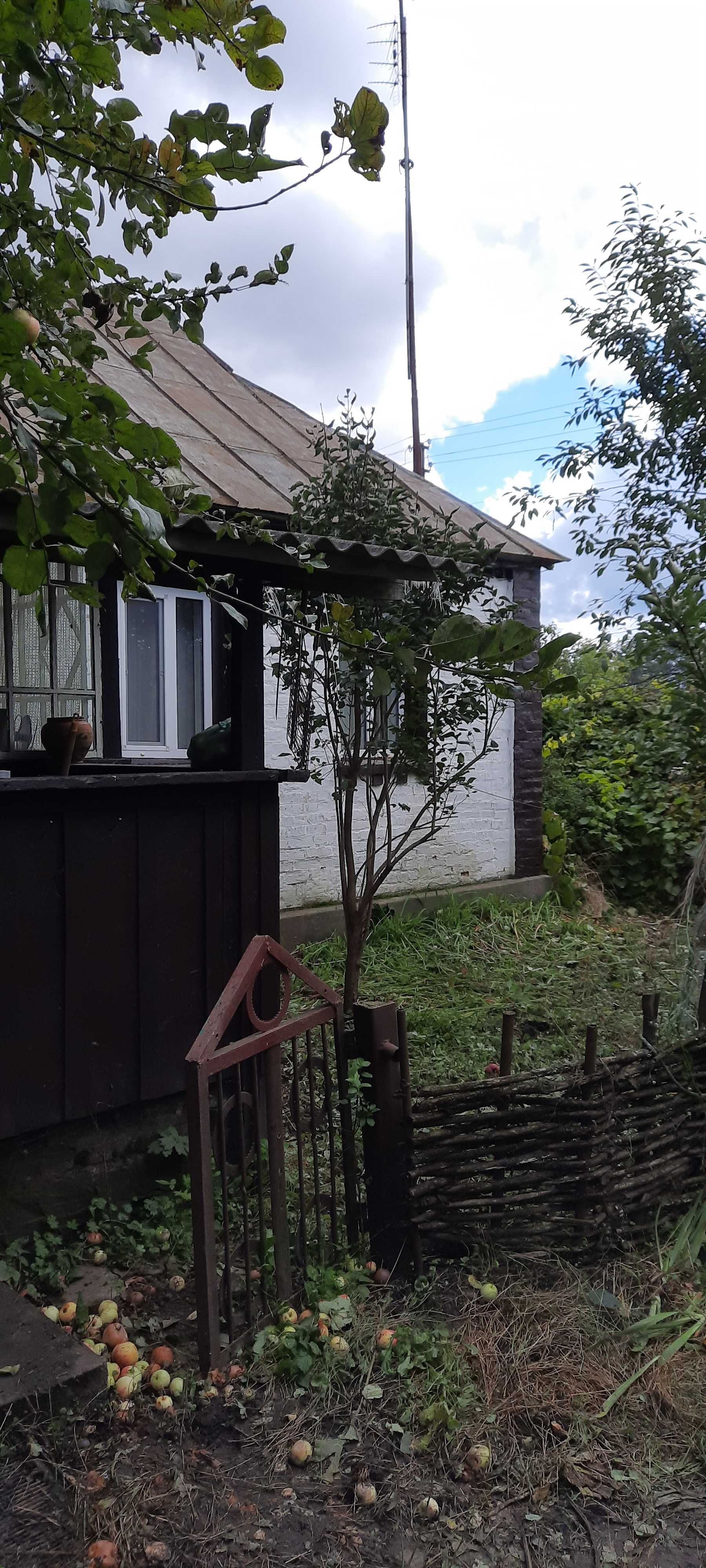 Терміновий продаж будинка в с. Липки