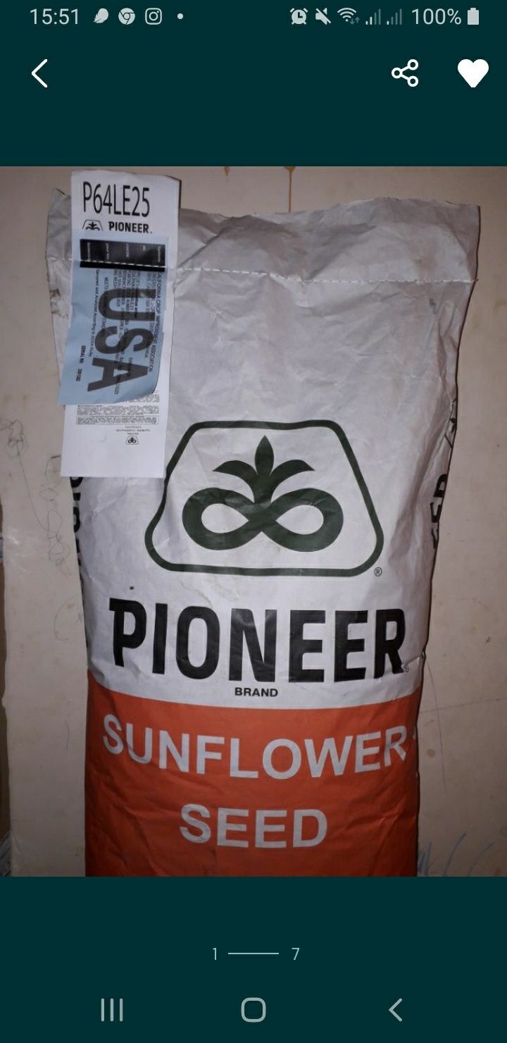 Семена подсолнечника  PIONEER.