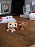 LPS littlest pet shop zestaw