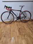merida scultura evo carbon