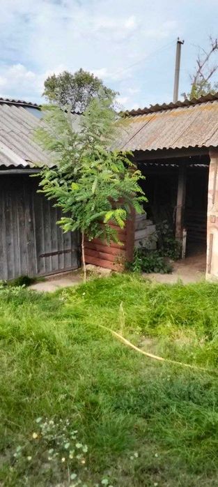 Продаж будинку в с.Феневичі Вишгородський р-н.
