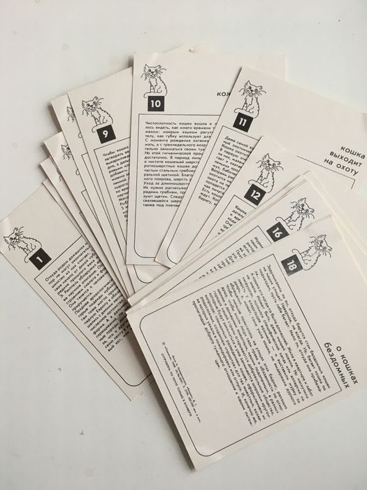 Открытки про кошек