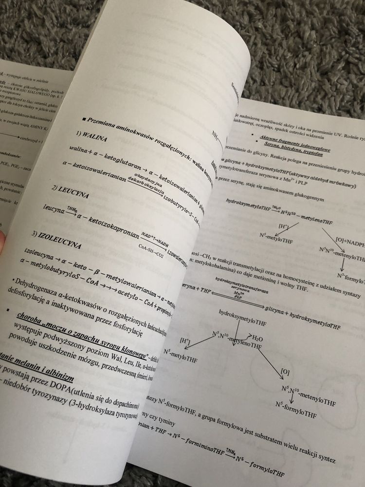 Skrypt Biochemia 2.0