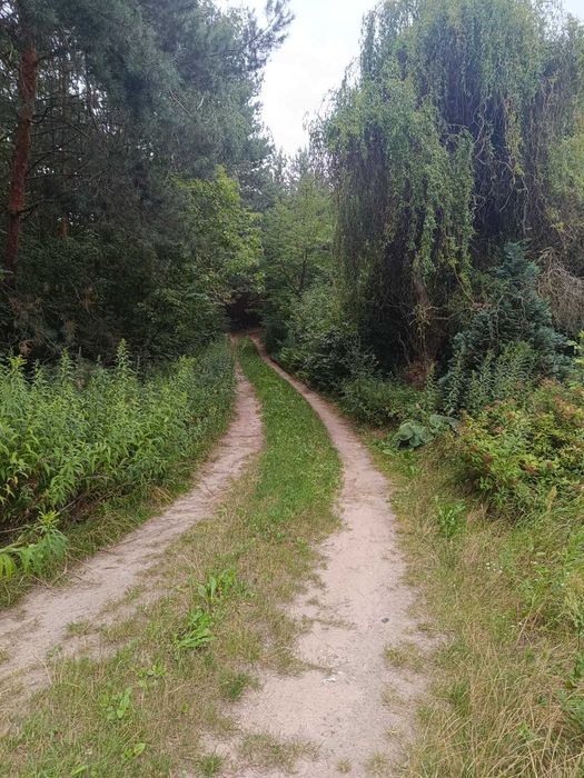 Sprzedam siedlisko z domem - Zawady, gmina Kampinos
