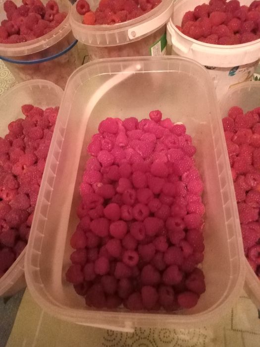 Продам малину завжди в наявності