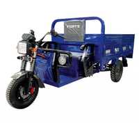 Вантажний електричний трицикл FORTE JB-1500 Синій