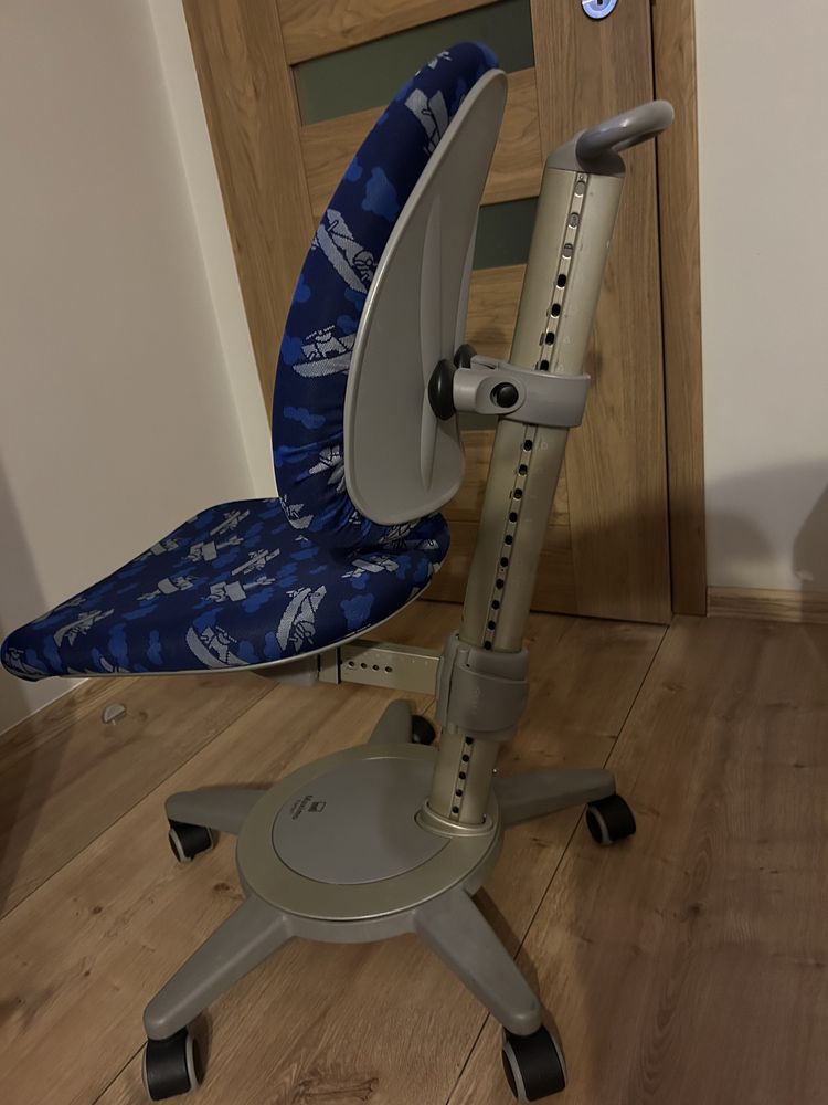 Krzesło moll Maximo Forte