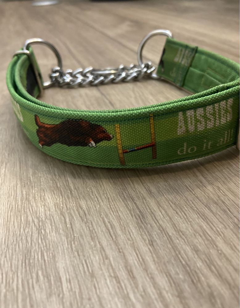 Obroża SUPER DOG Aussies / owczarek australijski aussie