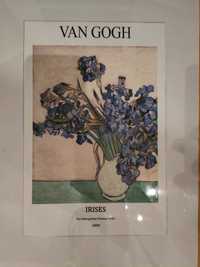 Plakat Van Gogh ,,Irysy''