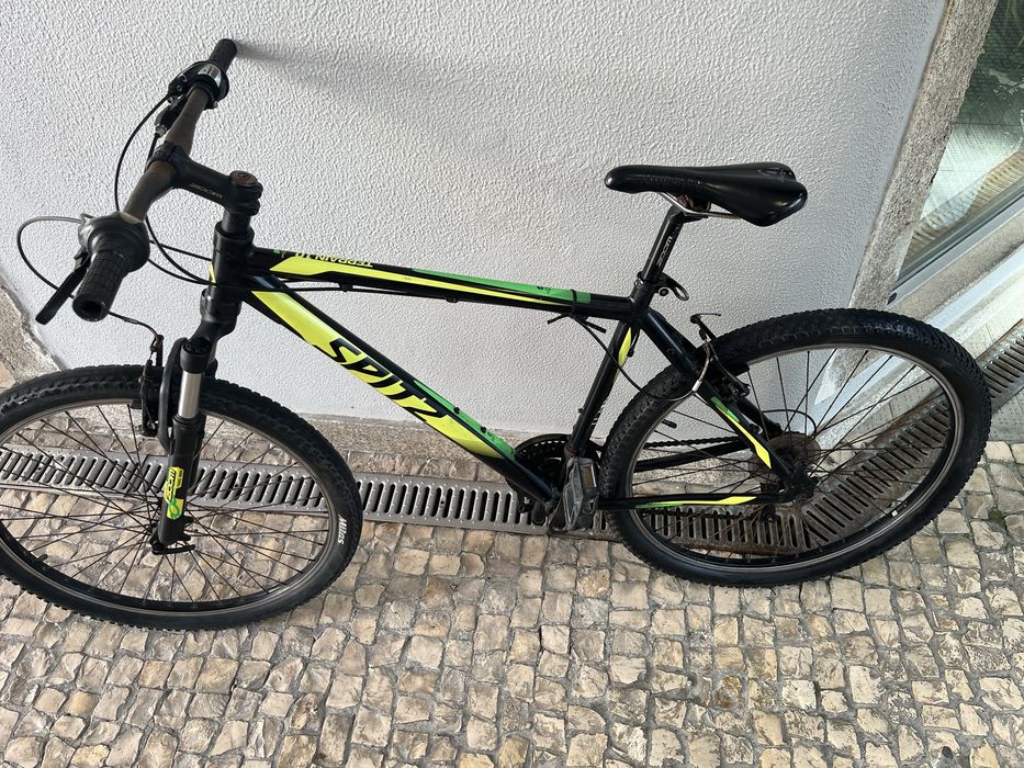Bicicleta adulto