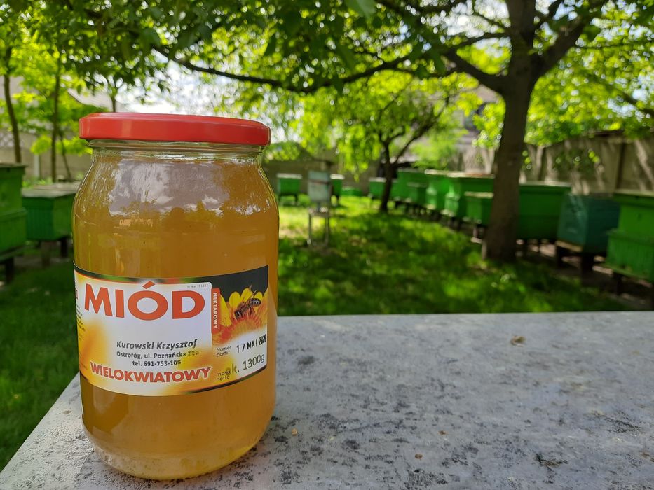 Miód lipowy spadziowy akacjowy wielokwiatowy