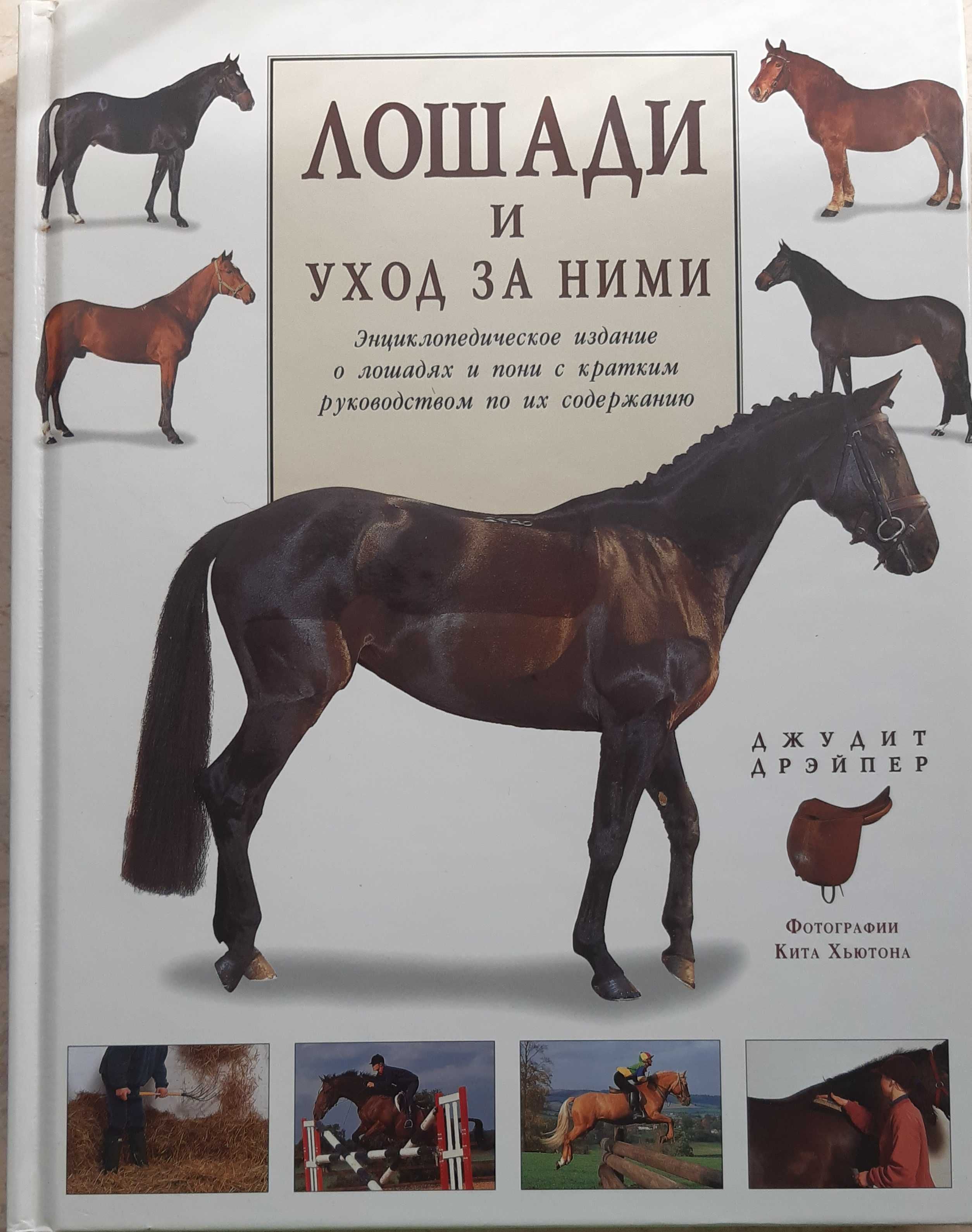 Книга Лошади и уход за ними Джудит Дрейпер