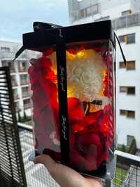PROMOCJA 3w1 | Miś 25cm + Płatki róż + Girlanda LED Gratis! Walentynki