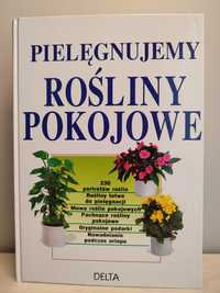 Pielęgnujemy rośliny pokojowe