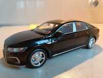 VW PASSAT skala 1/24