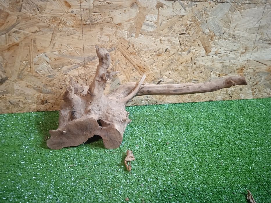 Korzeń do akwarium Red Moore Wood nr 209 o wymiarach 37/17/17