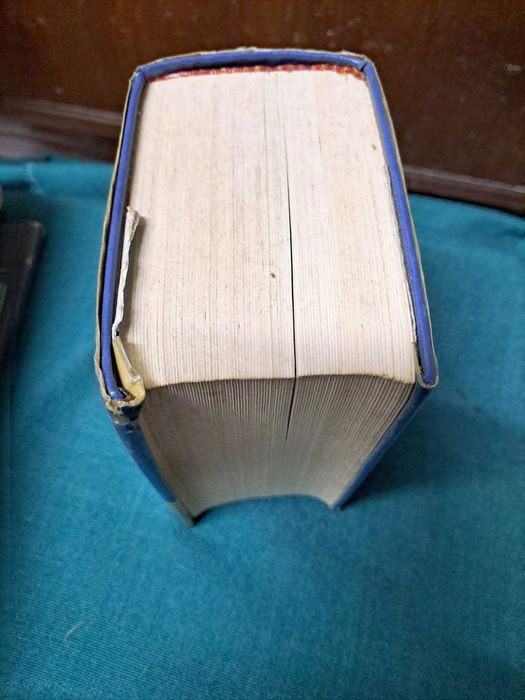 Dicionário da Porto Editora -
