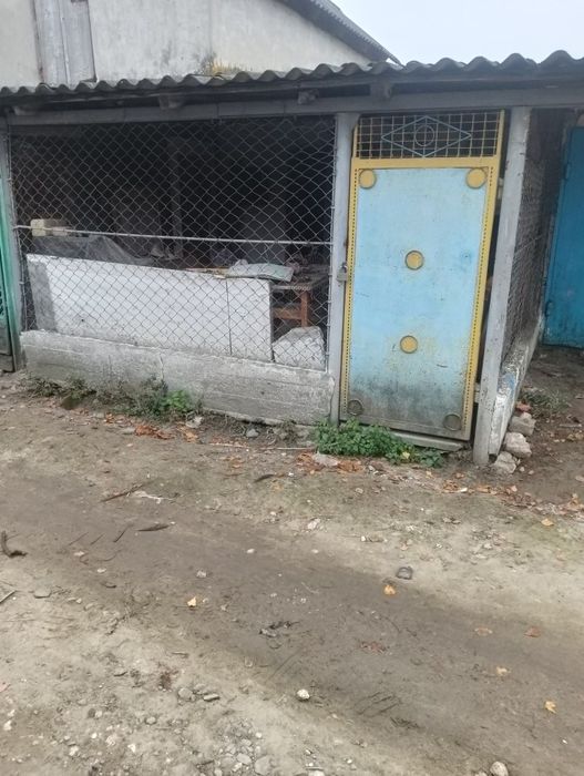 Продам сарай і гараж