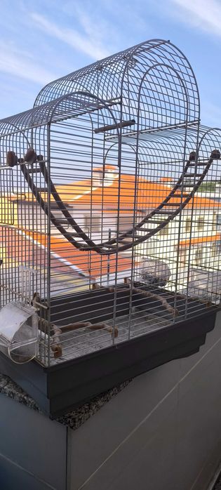 Gaiola e base vertical