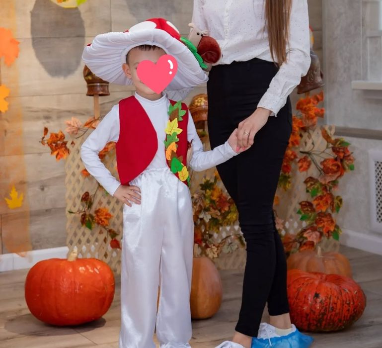 Мухомор, білий гриб, коричневий гриб