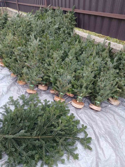 Гілочки для декору та в'язані ялинки мотанки оптом і вроздріб