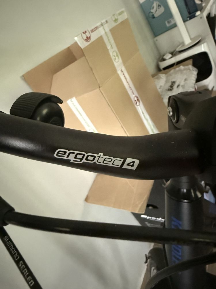 Rower elektryczny BOSCH Acive Line