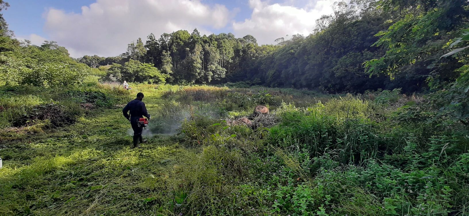 Limpeza de Terrenos e Jardinagem Corte de Matos