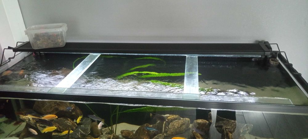 Akwarium 320 L z stalową półka