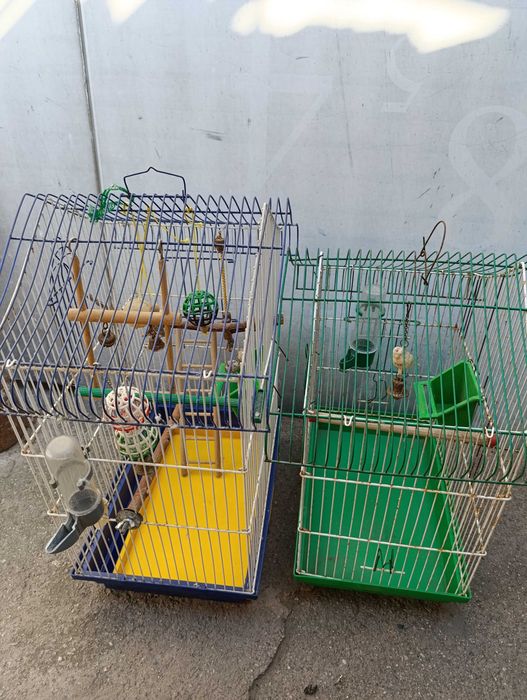 Клітка для папуги
