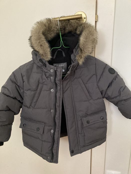 Quispe unix cinzento