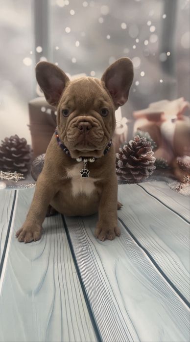 Самі кращі малюки два щепленя