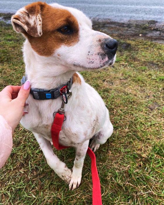 Девочка Соло —в хорошие руки