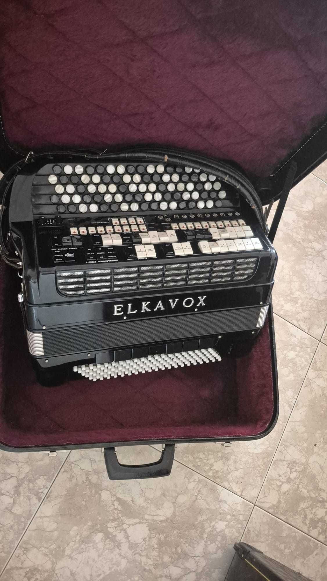 Acordeão ELKAVOX 83