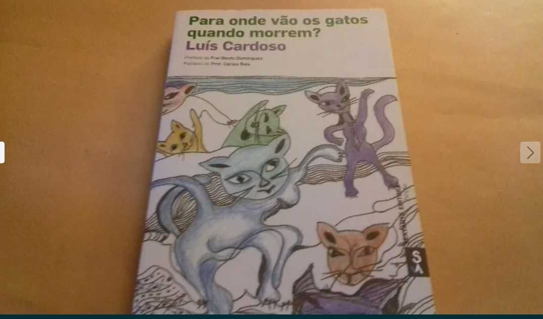 Para onde vão os gatos quando morrem? / Luís Cardoso