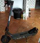 Pro 1 max ducati