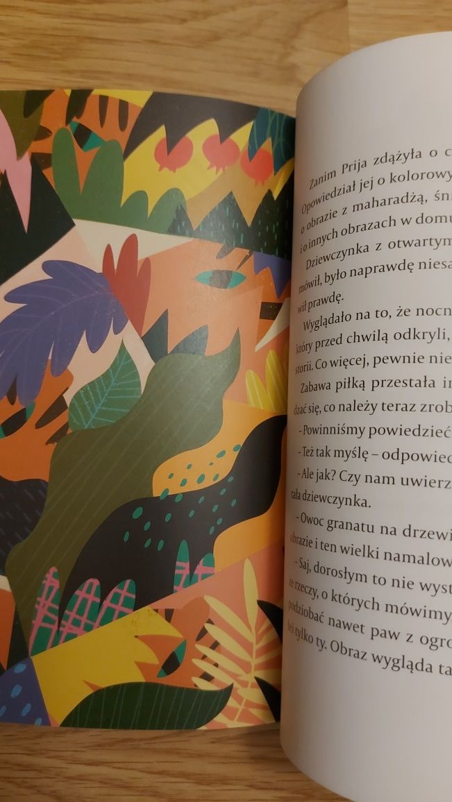 Mały Saj i wielka przygoda. Piórko Bieronki