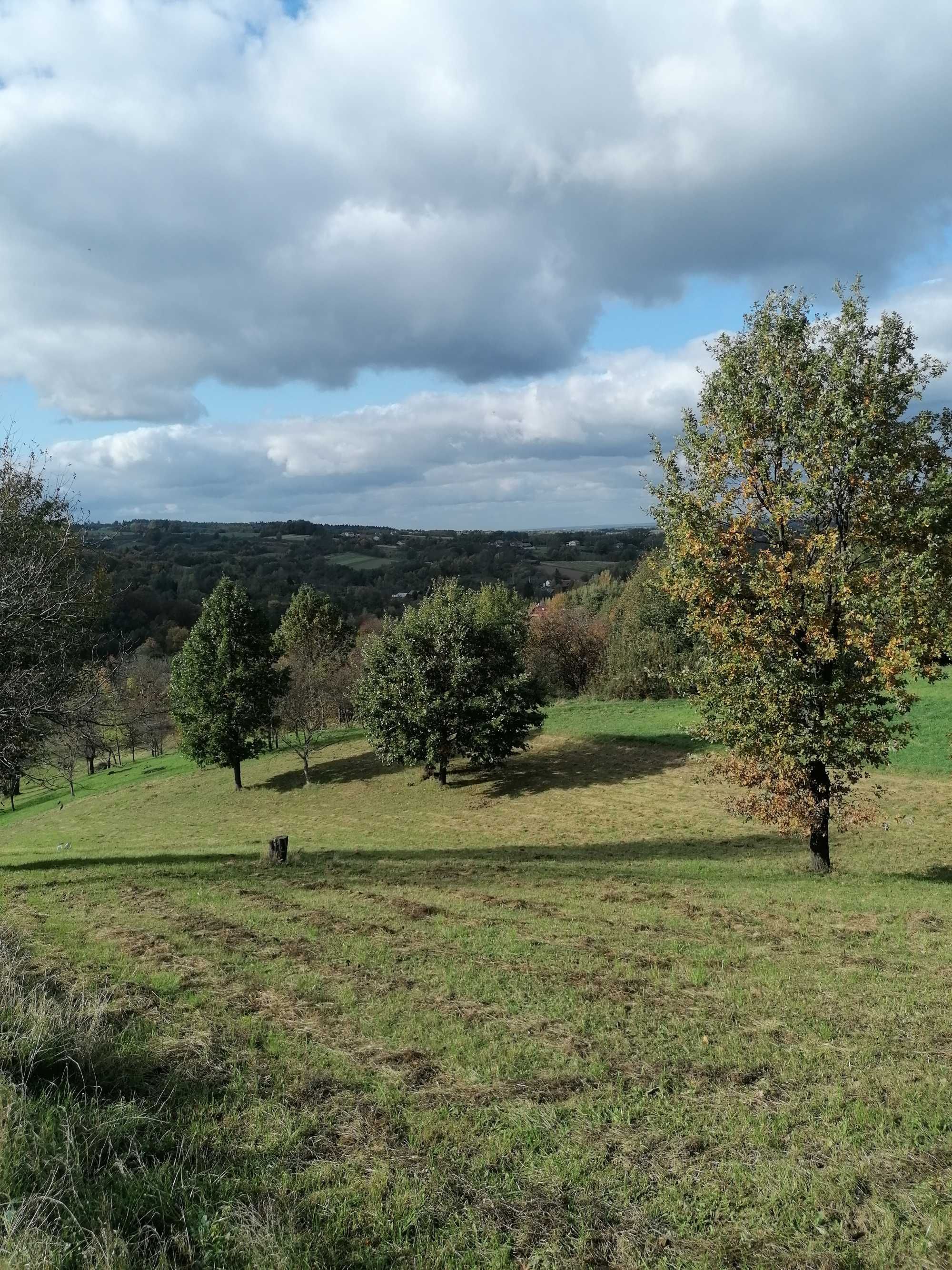 HANDZLÓWKA - Dom z zabudowaniami i działką widokową