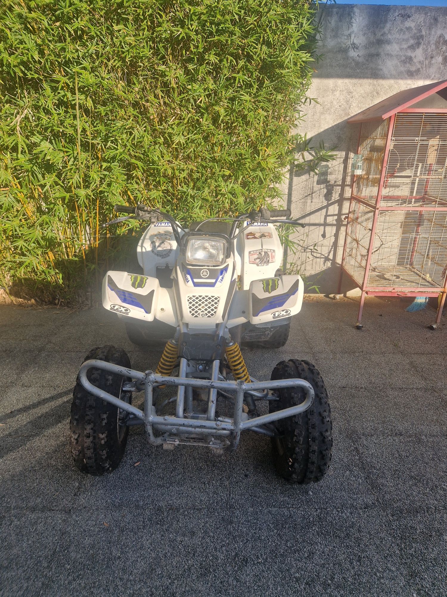 Yamaha blaster 200