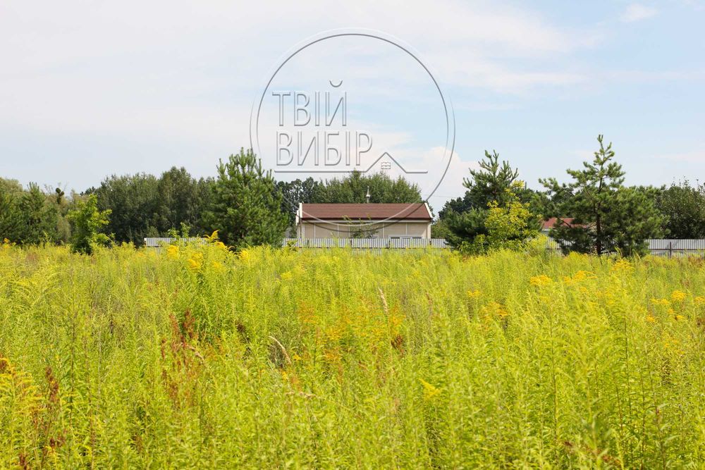 Продаж Ділянки Петрушки 10 соток