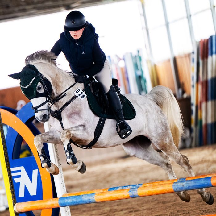Sprzedam uroczego wałacha w typie araba