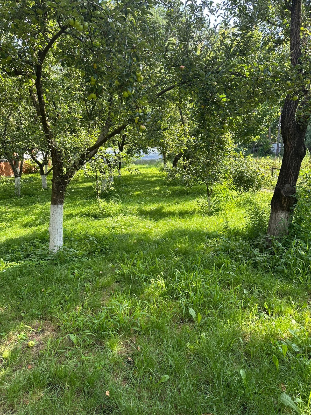 Оренда будинку біля Конча-Заспи, 174 м² простору та затишку