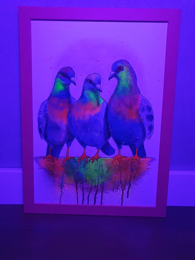 Obraz plakat a3 gołębie ptaki w ramie