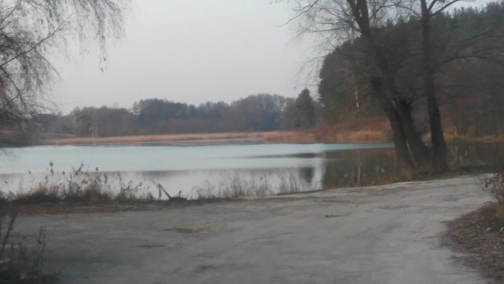 Оренда будівлі від Власника (окремих площ) під комерційну діяльність