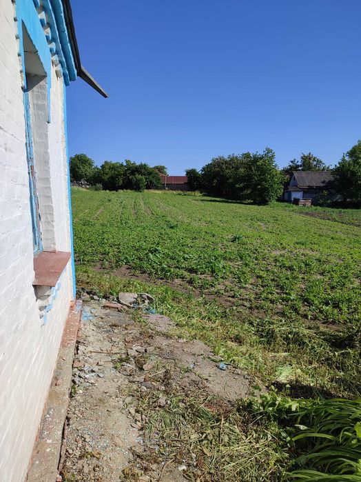 Продам будинок с. Поминик (Вікторівка), Маньківський район