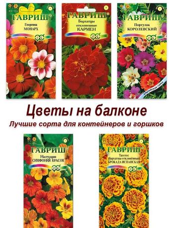 Лучшие сорта семян цветов для балкона ЦВЕТЫ НА БАЛКОНЕ